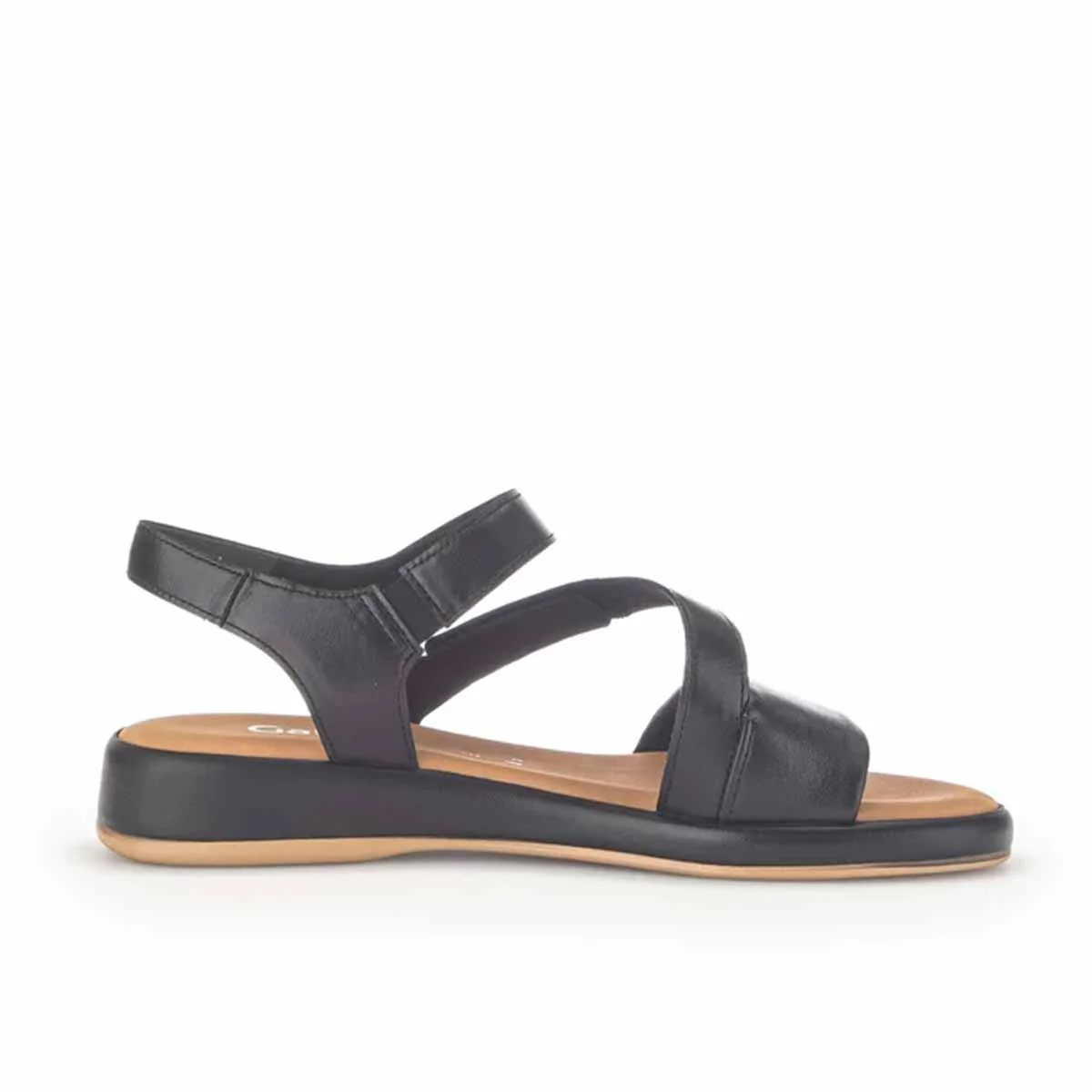 תמונת מוצר 2
