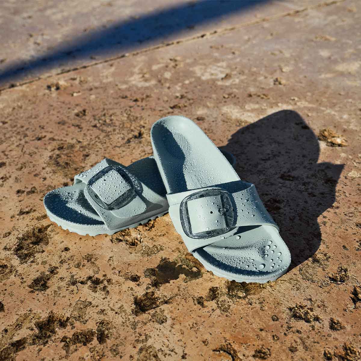 תמונת מוצר 2